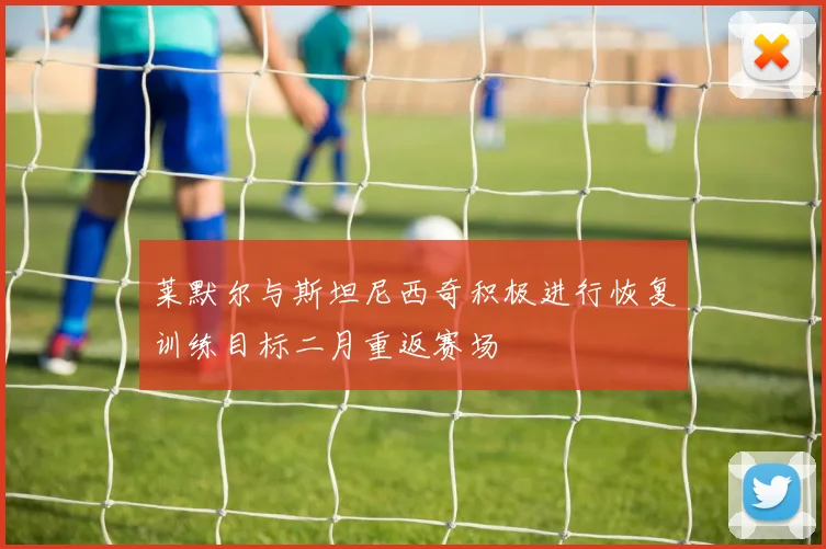 莱默尔与斯坦尼西奇积极进行恢复训练目标二月重返赛场