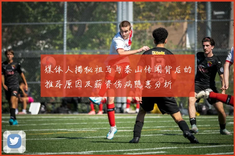 媒体人揭秘祖马与泰山传闻背后的推荐原因及薪资伤病隐患分析