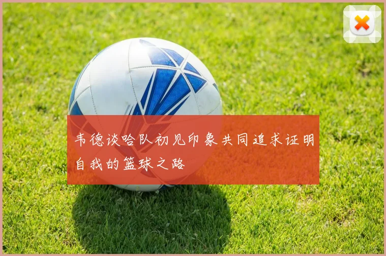 韦德谈哈队初见印象共同追求证明自我的篮球之路