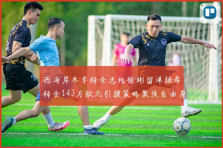 西海岸冬季转会总结徐彬留洋杨希转会143万欧元引援策略聚焦自由身球员